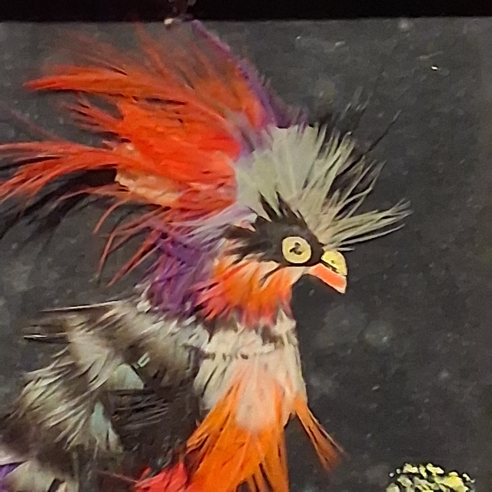 Source Unknown Vibrant Feather Art in Wooden Frame - Picture 2 of 7